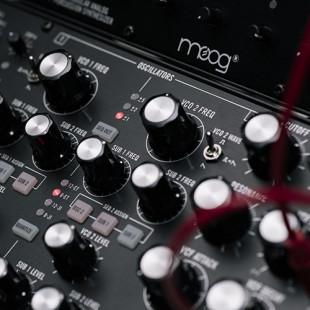 ヤマダユウス型